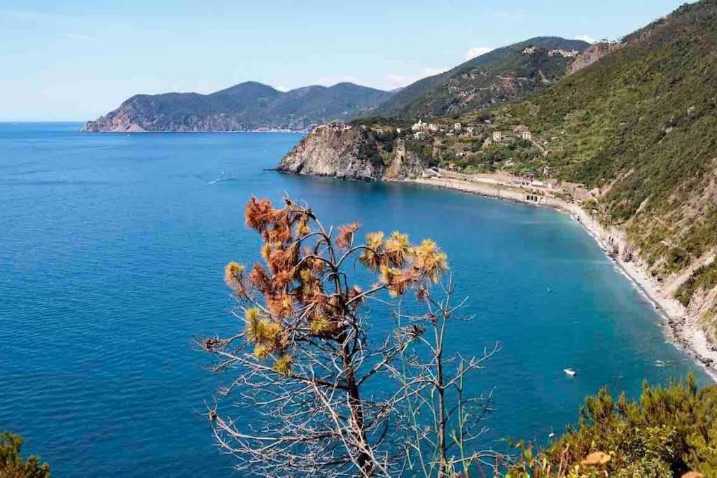 Cinque Terre Hub Luxury In Hébergement de vacances *