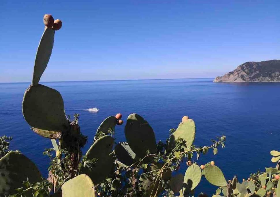 Cinque Terre Hub Luxury In Hébergement de vacances *